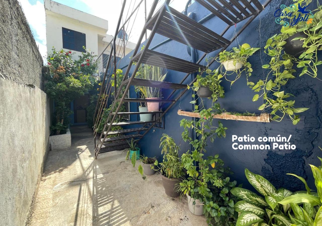 Casa De Yoli Apartamento Cozumel Exterior foto